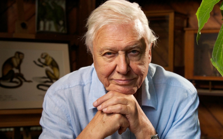 Az óceánok védelmére szólított fel Sir David Attenborough