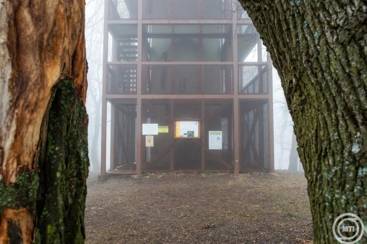 A mecseki Zengőn álló építmény lett az Év kilátója 2025-ben