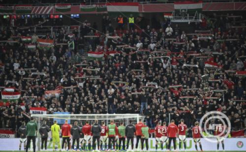 Ír-magyar - Jövő pénteken indul a jegyértékesítés az első vb-selejtezőre